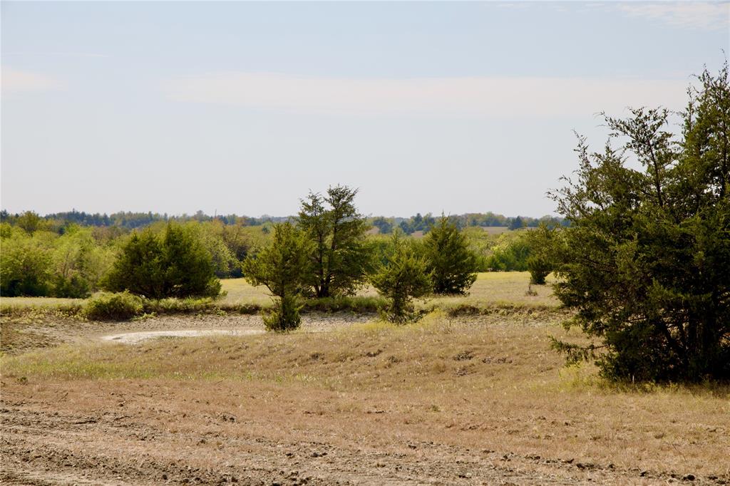 Tract 3 County Road 2935