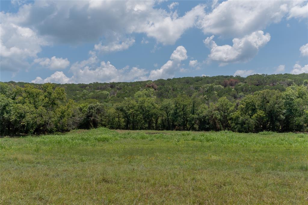 1081 Shiloh Vista Lane