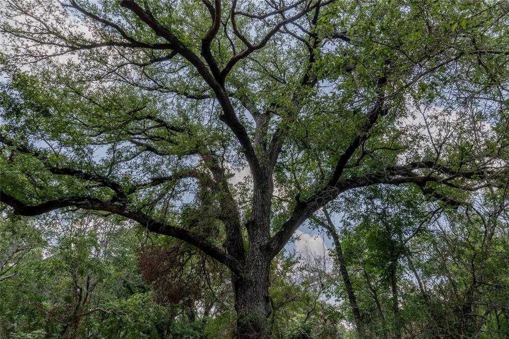 Shiloh Vista Ranch - Land