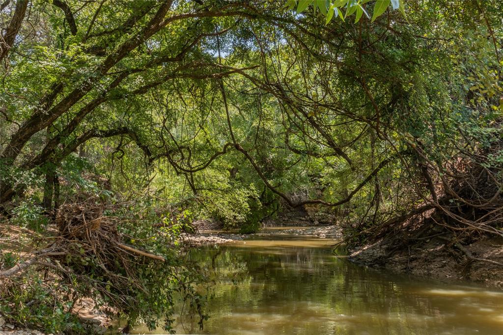 1081 Shiloh Vista Lane