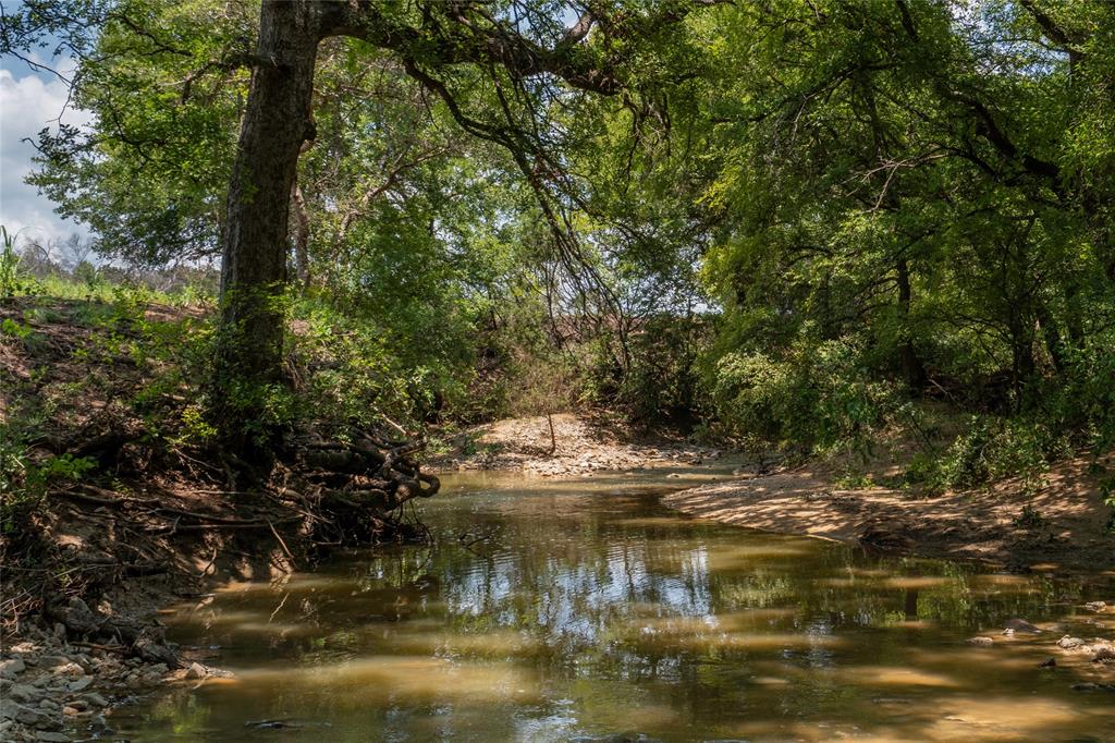 Shiloh Vista Ranch - Land