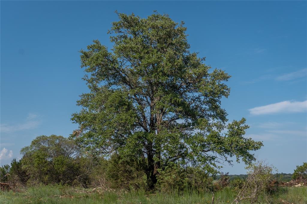 Shiloh Vista Ranch - Land