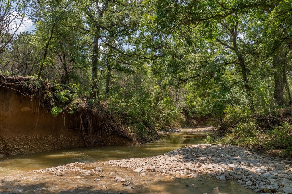 Shiloh Vista Ranch - Land