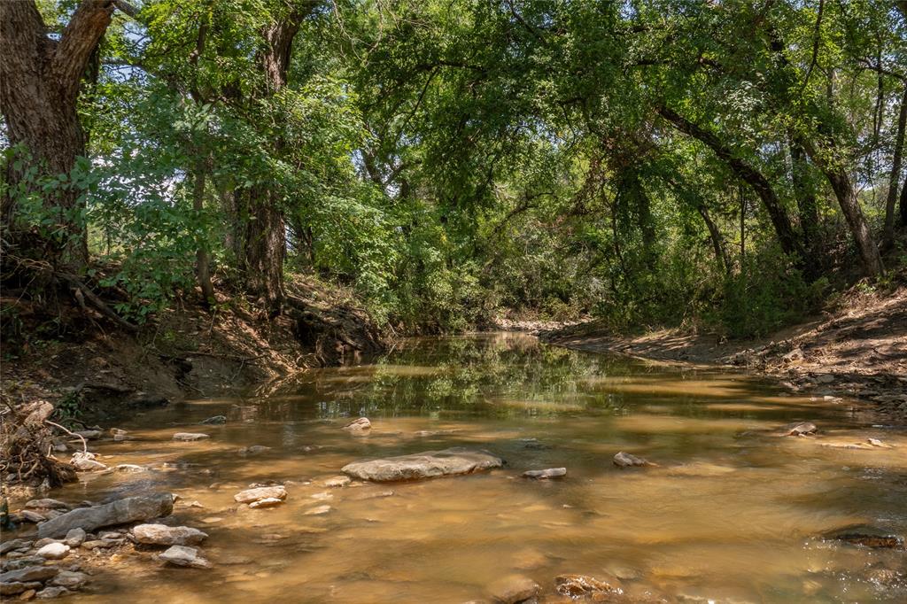 Shiloh Vista Ranch - Land