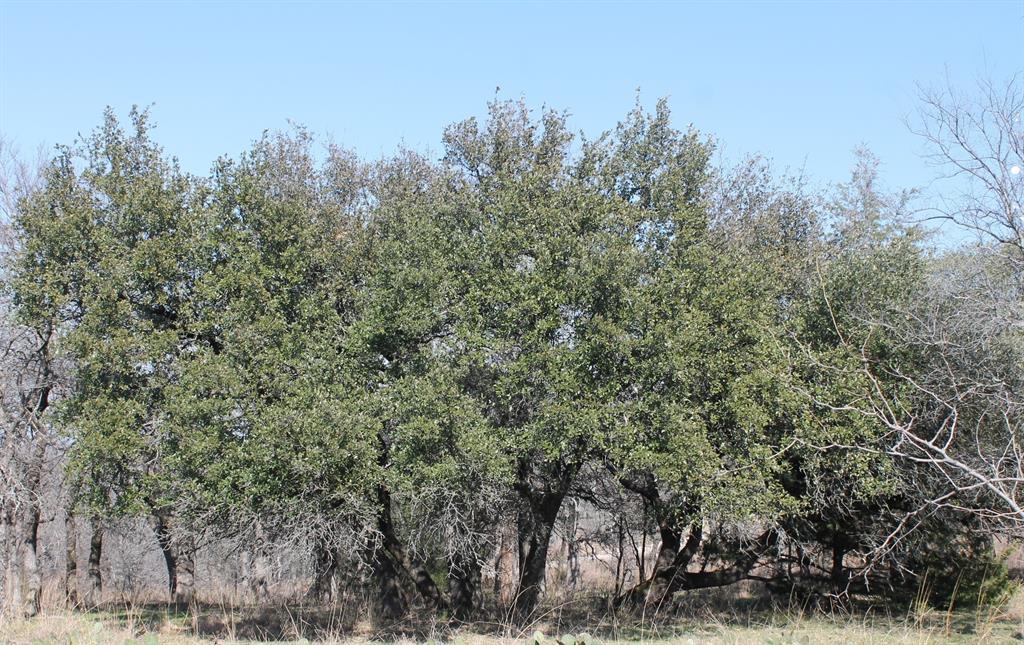 North Star Pointe - Land