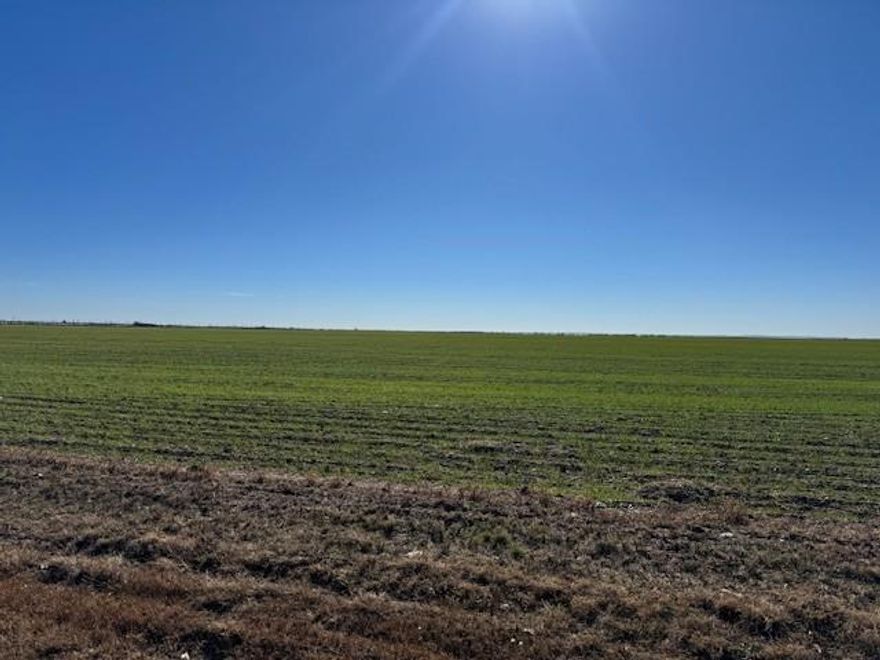69.13 acres fronts Hwy 351 & CR 521 Mesquite Lane, approximately 1.7 miles from city limits, Great potential for many uses. 
Approx 69 additional acres available. Just minutes from Cracker Barrel, Walmart,  the new Bass Pro Show, Hendrick Hospital and Abilene Christian University.