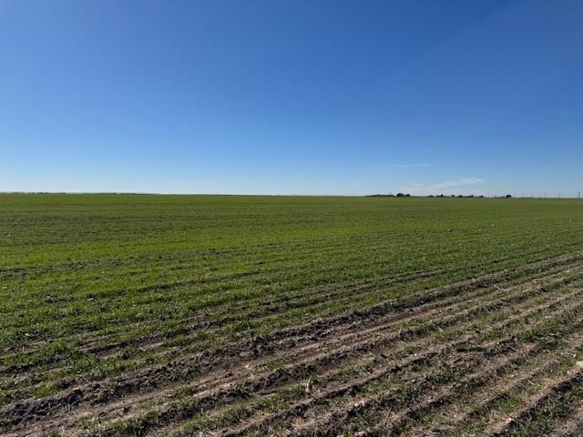 A0889 SUR 19 B A L NE-4 - Land