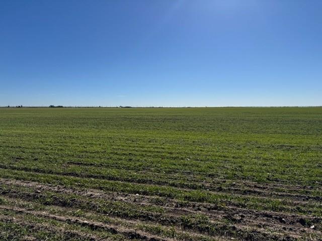 A0889 SUR 19 B A L NE-4 - Land