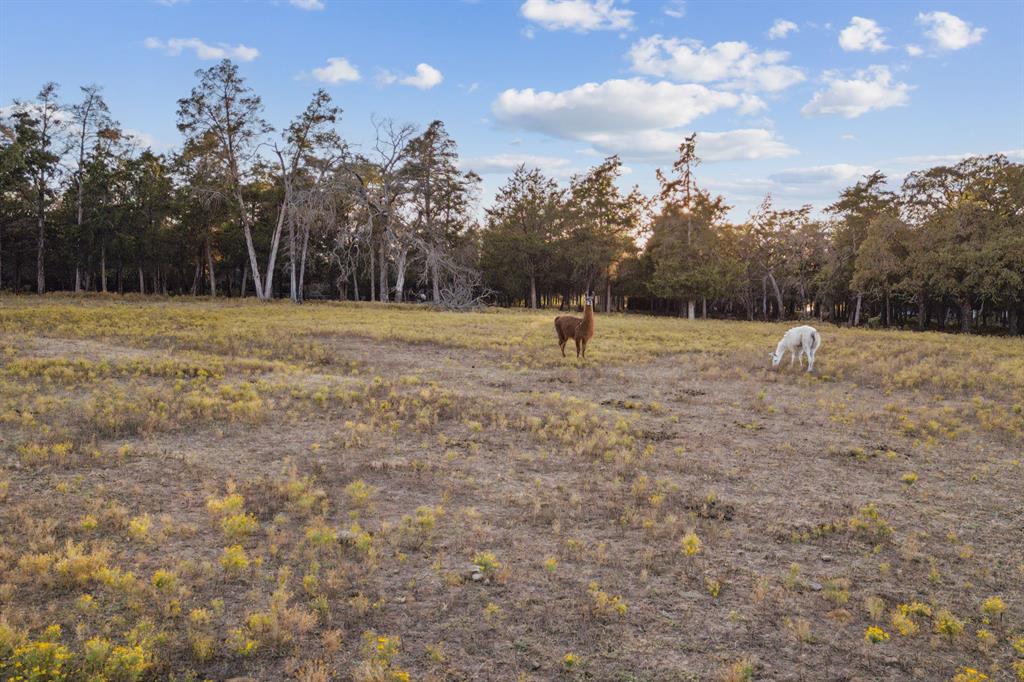Old Orchard Country Estate Unrec - Residential