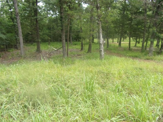 944 WHIPPORWILL DR, MURCHISON, TX 75778 - Image e7e7dad35eb151eadd528fd3521be46f/2943350197