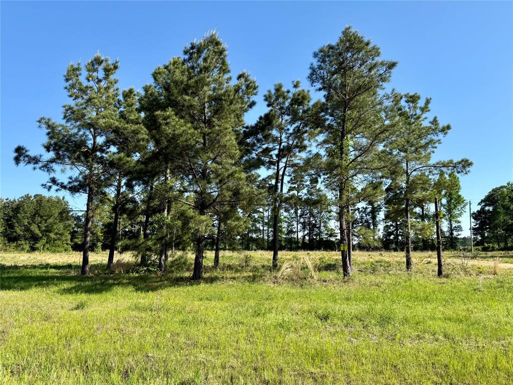 Faith Plantation - Land