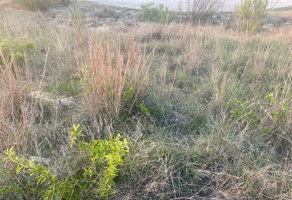 Hills Above Possum Kingdom Lake Ph1 S1 - Land