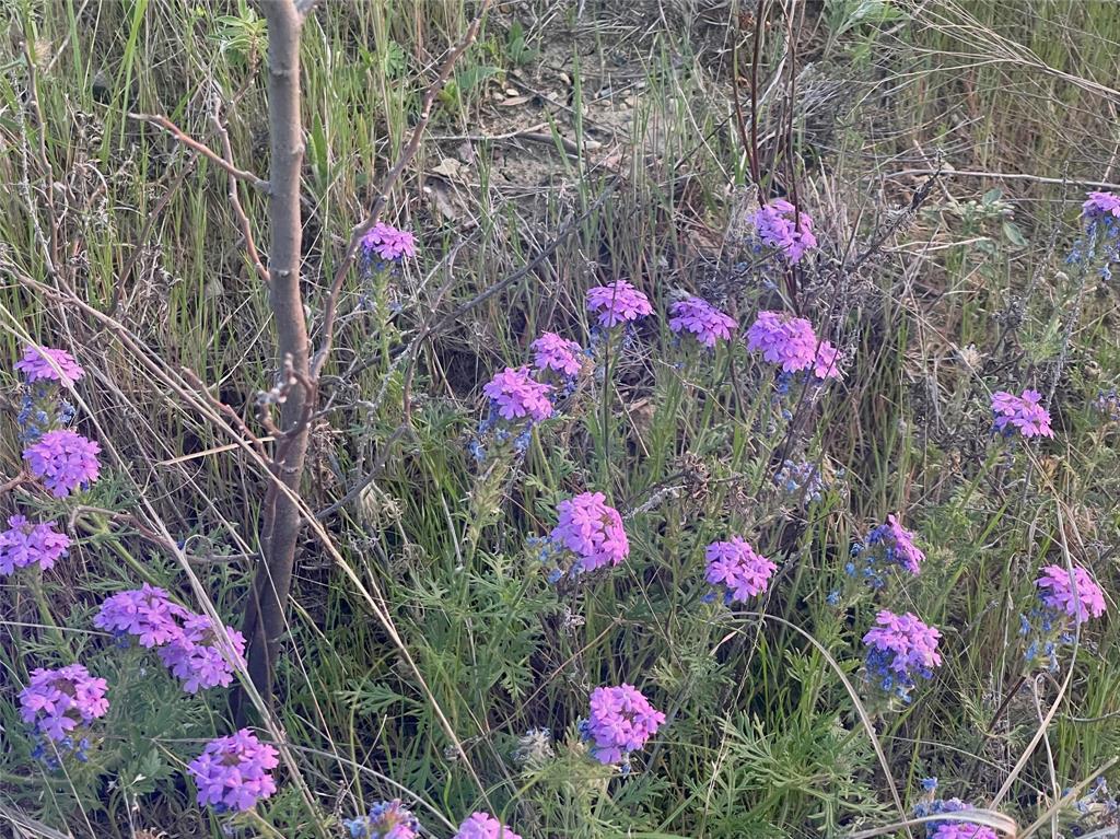 Hills Above Possum Kingdom Lake Ph1 S1 - Land
