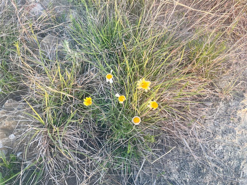Hills Above Possum Kingdom Lake Ph1 S1 - Land