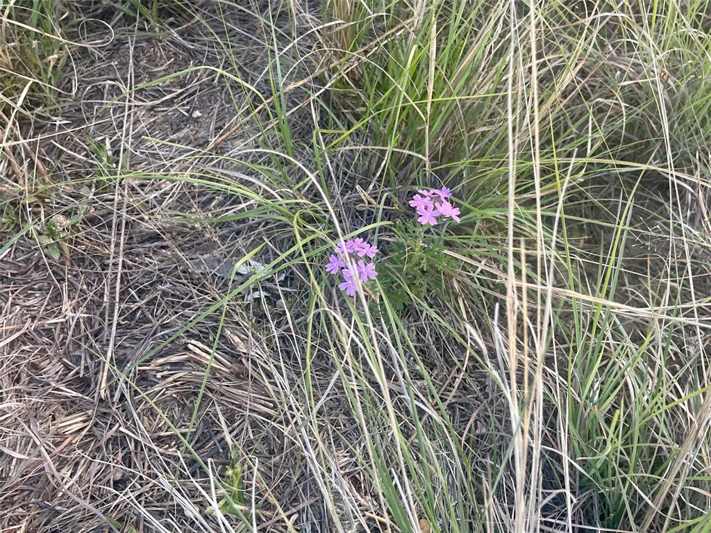 Hills Above Possum Kingdom Lake Ph1 S1 - Land