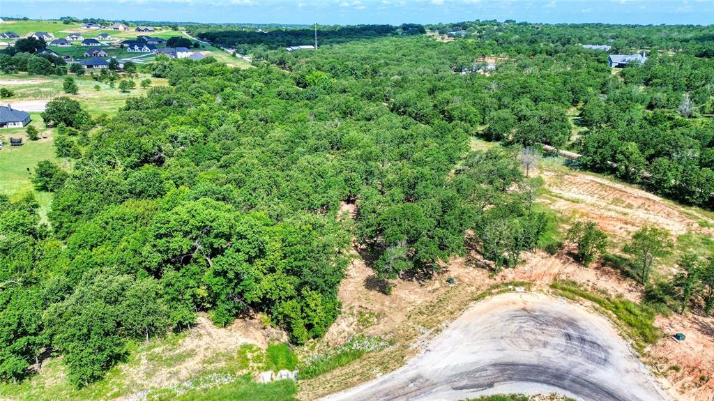 66R VALLEY OAK