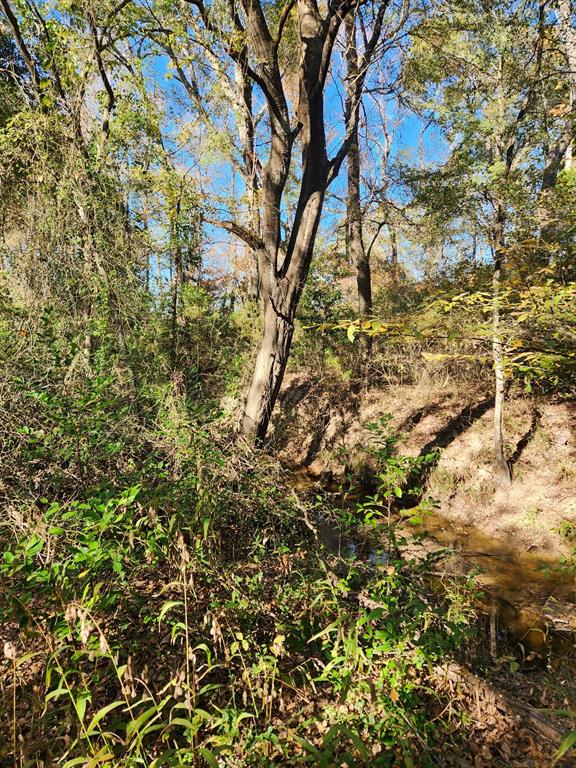 J H GRISHAM SUR - Land