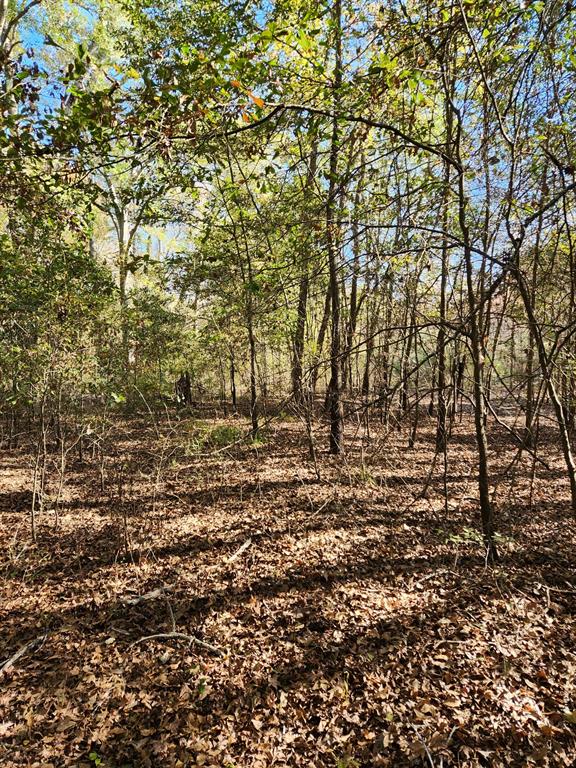 J H GRISHAM SUR - Land