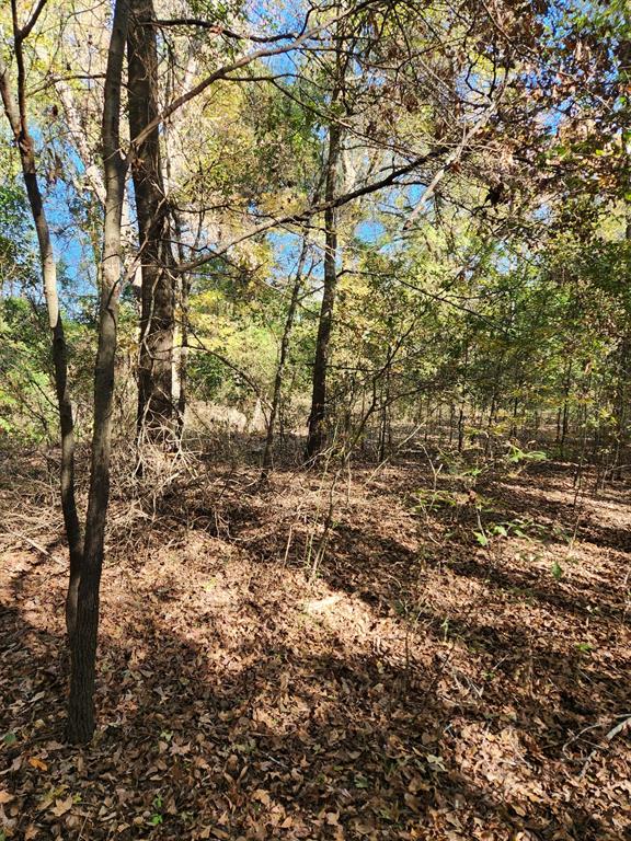 J H GRISHAM SUR - Land