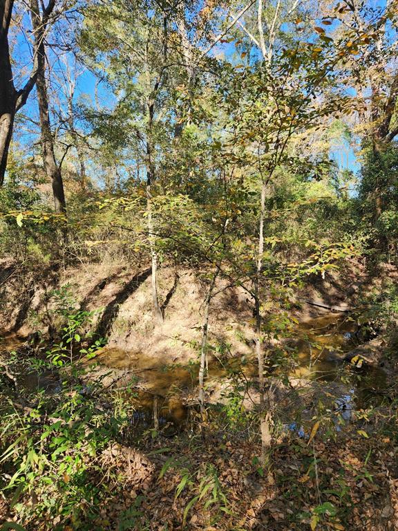 J H GRISHAM SUR - Land