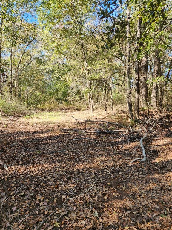 J H GRISHAM SUR - Land