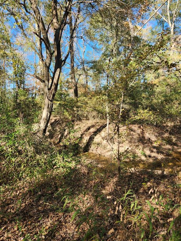 J H GRISHAM SUR - Land