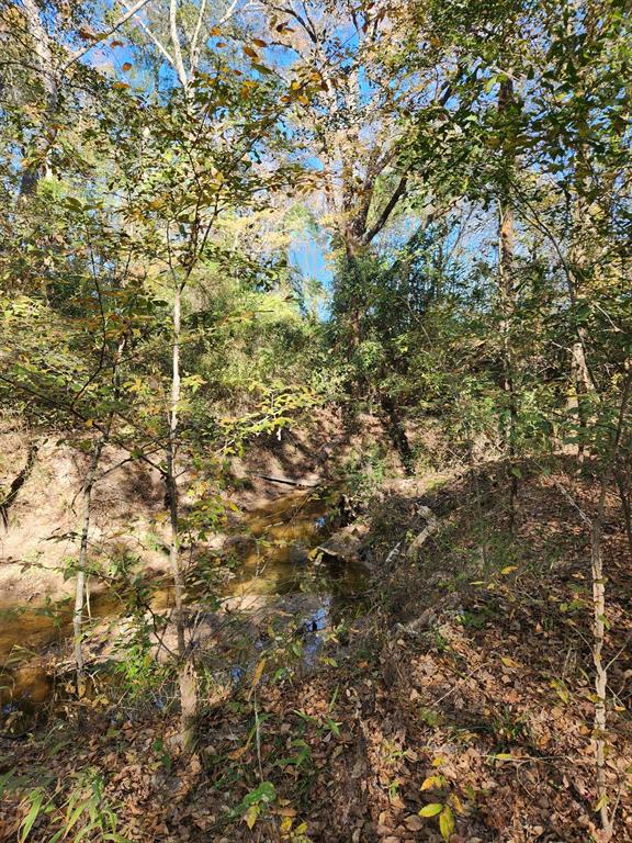 J H GRISHAM SUR - Land