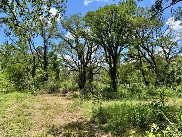 2031 County Road 3310