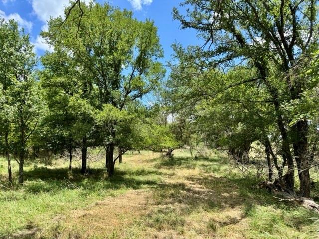 2031 County Road 3310