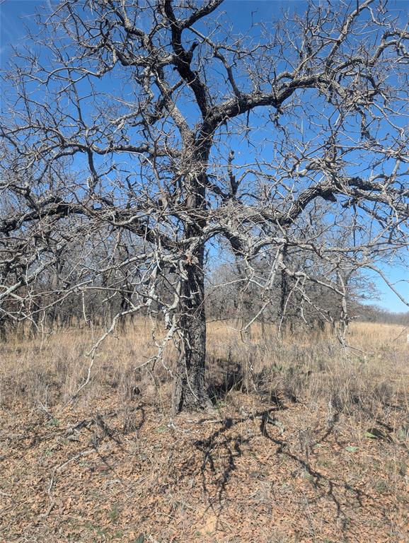 North Star Pointe - Land