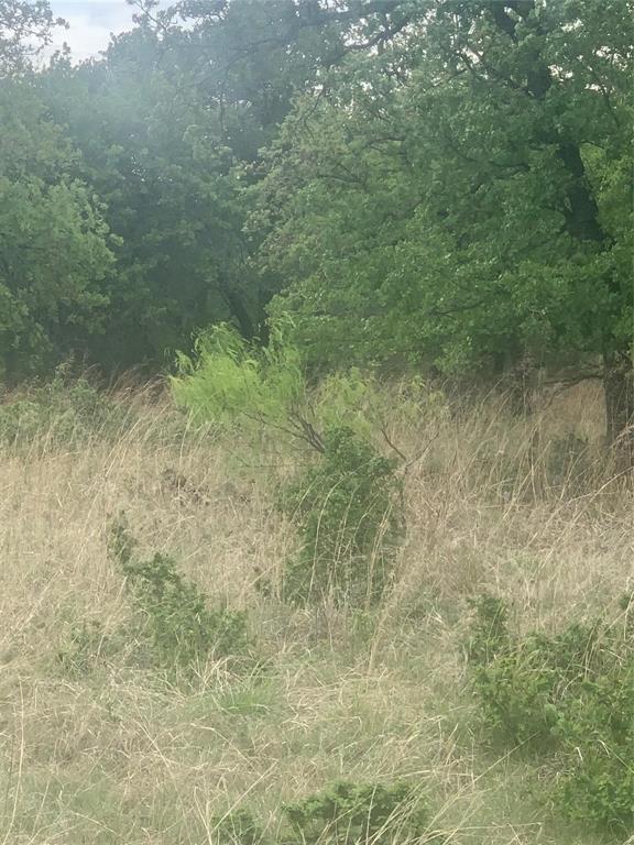 North Star Pointe - Land