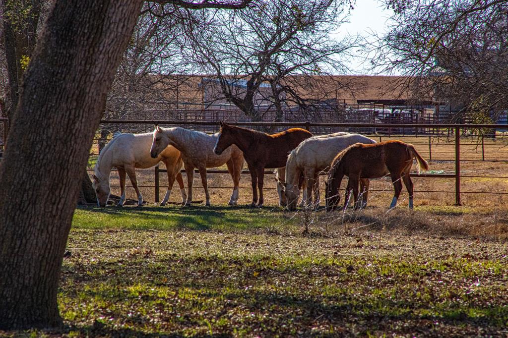 ABST 555 TR 32A,32B W O MERRIWETHER - Farm