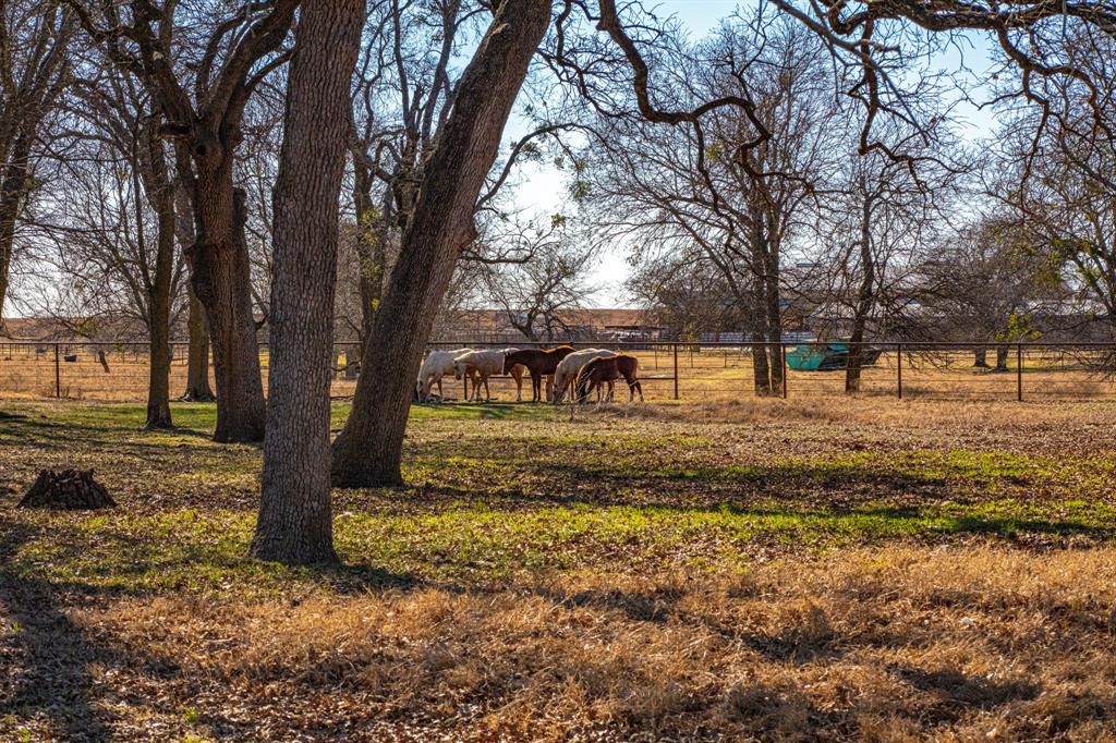 ABST 555 TR 32A,32B W O MERRIWETHER - Farm