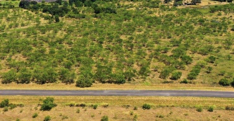 260 CR 366 Tract 11