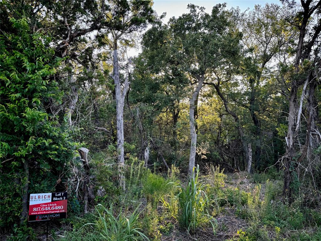 FIREFLY HOLLOW ADDITION - Land