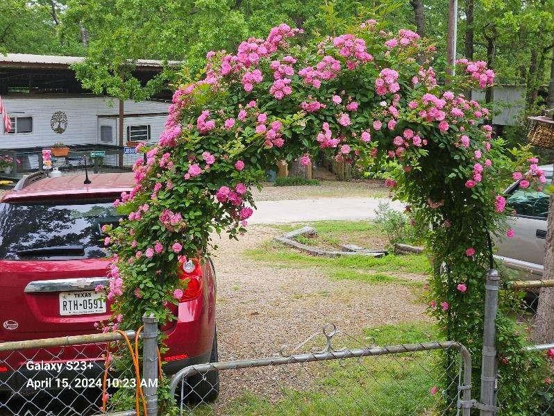Whiteoak Shores - Residential