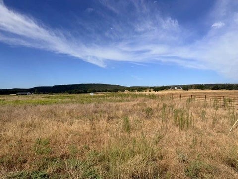 Photo of 770 Beddo, Santo, TX 76472 (MLS # 21408867)
