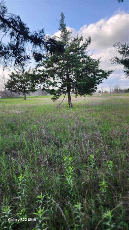 Lindell Estates - Land