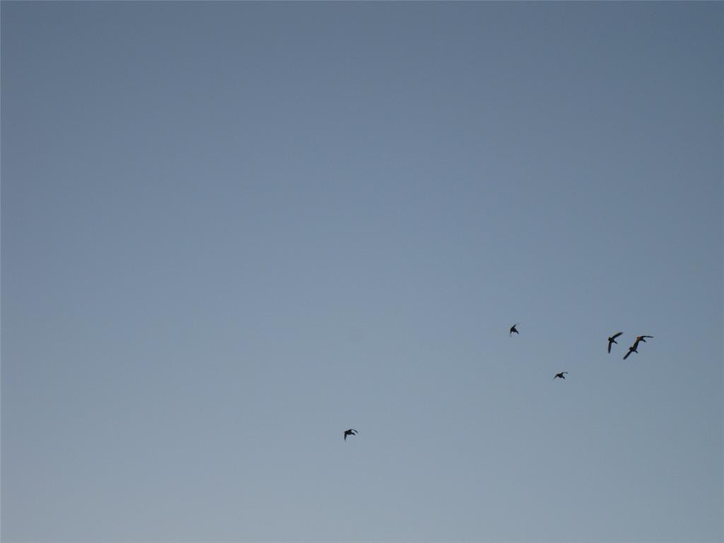 JC HUMPHRIES, SM SMITH & J WALKER - Land