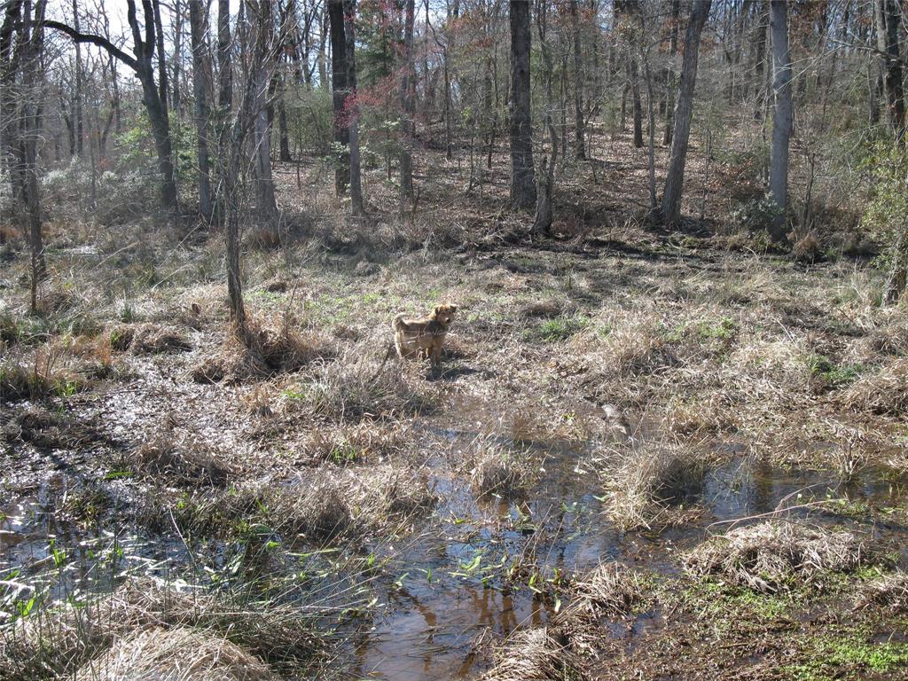 JC HUMPHRIES, SM SMITH & J WALKER - Land