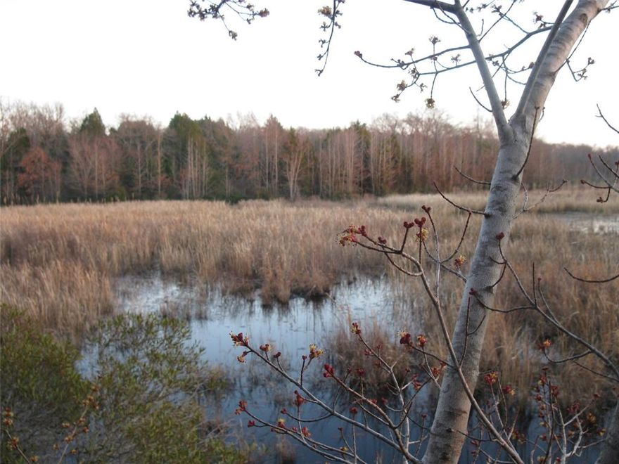 This beautiful land is being subdivided from a total of 154.95 acres, direct access to FM 773 and CR 4701 and features a large pond and various creeks, making it ideal for hunting, investment, or building your dream home. The property is Wildlife Tax Exempt and boasts a remarkable supply of fresh water along with diverse animal and habitat life. A major creek flows through the property for about 0.5 mile, complemented by a freshwater marsh that serves as a winter roost for ducks and has been recognized by TPWD as a high-quality wetland. Features several high wooded hills, with springs that feed the creeks and join the main creek. To the owner's knowledge has never dried up. The rolling hills are primarily covered in Hickory, Red Oak, Post Oak, Huckleberry, and Dogwood and provide multiple building sites for your vision. Conveniently located just 2 miles from Ben Wheeler, 9 miles from Edom, and 12 miles from Canton, this property offers a perfect blend of natural beauty and accessibility. Owner also willing to sell the homestead and additional tract of land for total of 185 MOL acres.