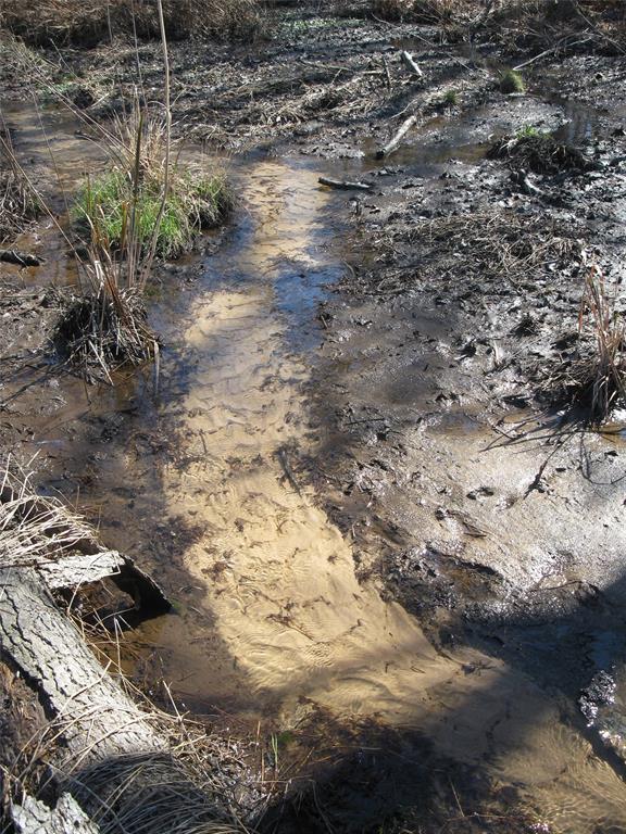 JC HUMPHRIES, SM SMITH & J WALKER - Land