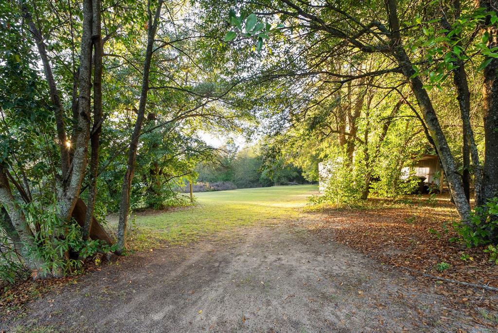 FLORES - Residential