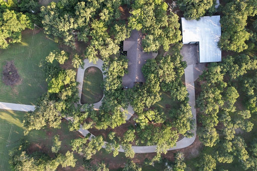 10017 County Road 604