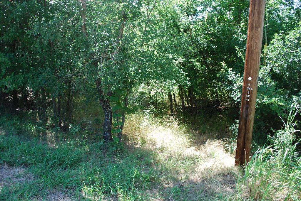 1306 Overlook Drive