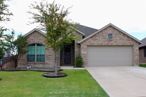 223 Valley View Drive Waxahachie TX 75167