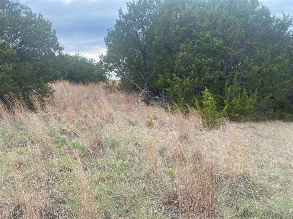 1011 Enchanted Rock Court