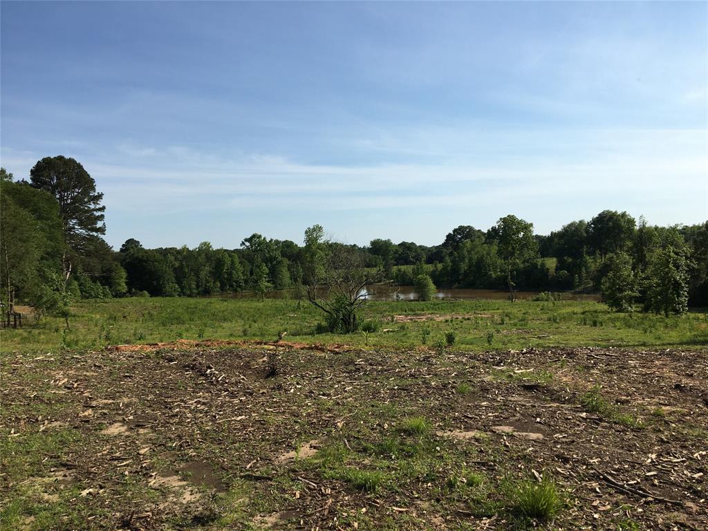 TBD Falcon View