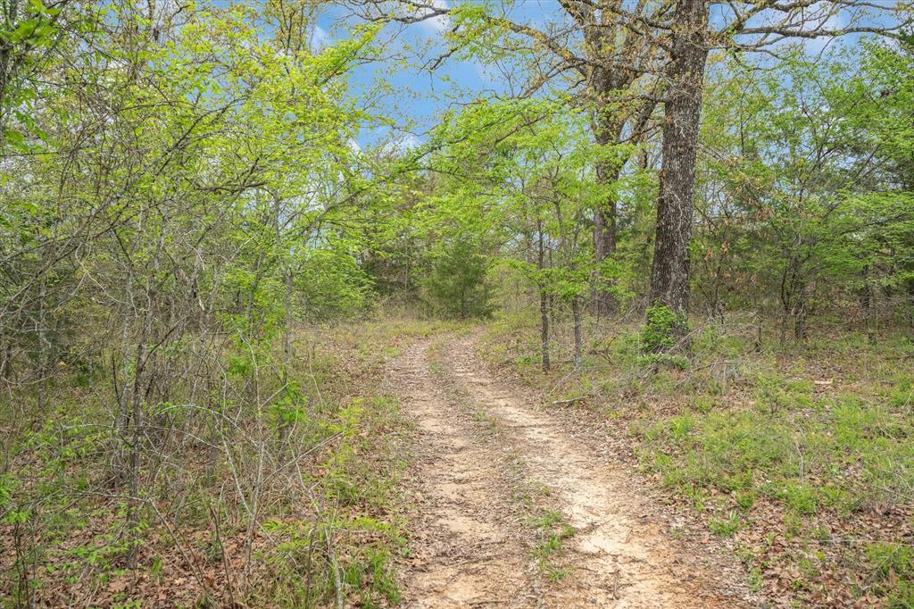 1751 Vz County Road 1925