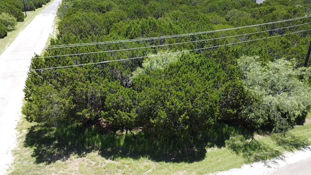 White Bluff #29 - Land